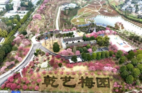微信截图_20250227155638.png
